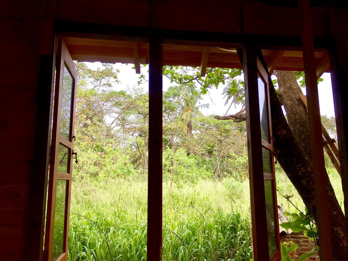 Gasthaus Seasons Four Eco Friendly Treehouse Matara Exterior foto
